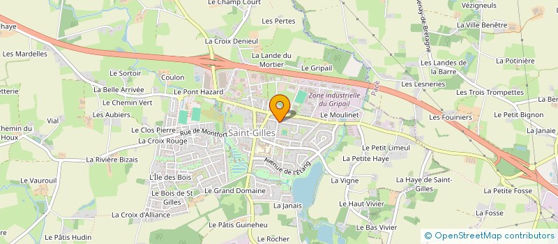 localisation de l'entreprise MADAME ELINE MAEGHERMAN  SAINT-GILLES