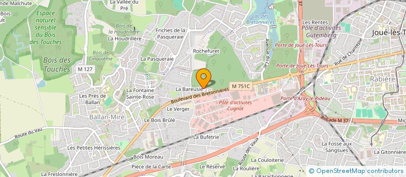 localisation de l'entreprise MADAME ELINE MAISONNEUVE  JOUE-LES-TOURS