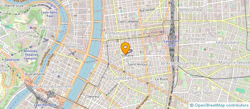 localisation de l'entreprise MADAME ELISA BRINGUES  LYON