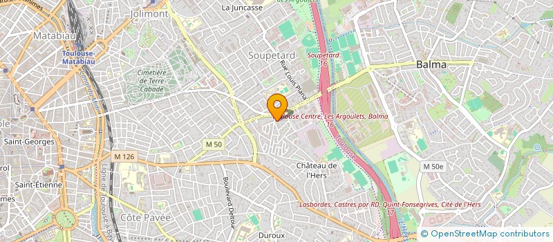 localisation de l'entreprise MADAME ELISA CHATELAIN à TOULOUSE