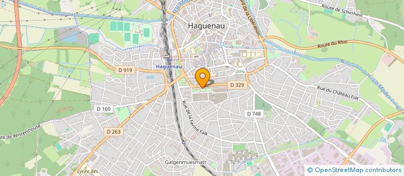 localisation de l'entreprise MADAME ELISA DIDIER  HAGUENAU