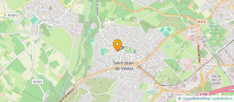 localisation de l'entreprise MADAME ELISA HERVET  SAINT-JEAN-DE-VEDAS