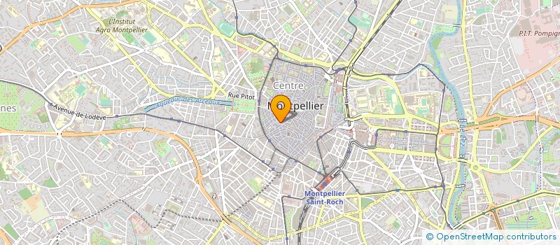 localisation de l'entreprise MADAME ELISA JOHNSTON à MONTPELLIER