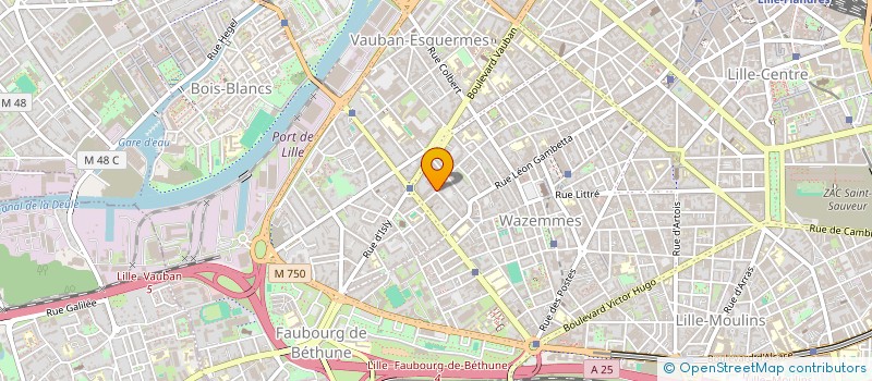 localisation de l'entreprise MADAME ELISA LECLERCQ à LILLE