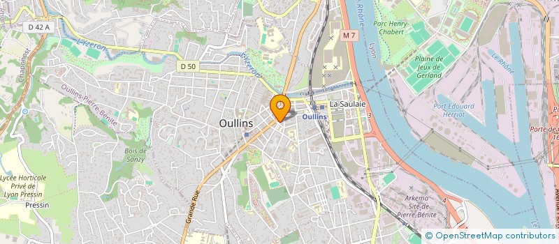 localisation de l'entreprise MADAME ELISA MARTIN  OULLINS-PIERRE-BENITE