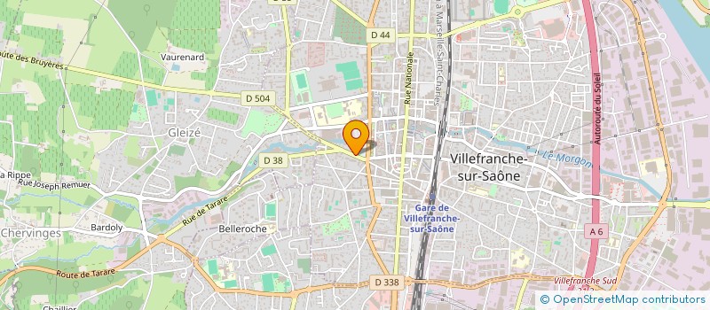 localisation de l'entreprise MADAME ELISA MATIAS DA SILVA  VILLEFRANCHE-SUR-SAONE