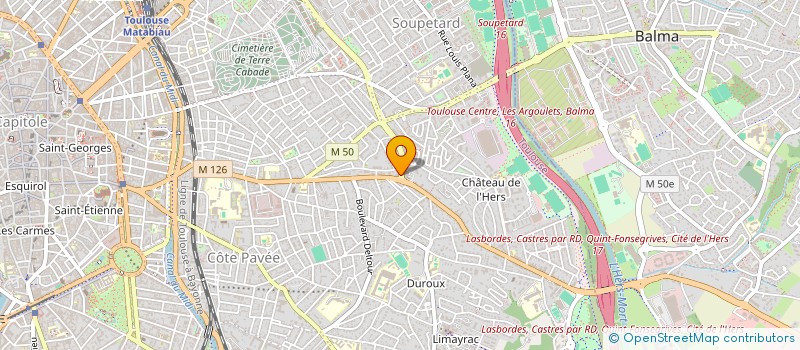 localisation de l'entreprise MADAME ELISA MILLET  TOULOUSE