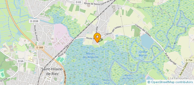 localisation de l'entreprise MADAME ELISA MORNET  SAINT-HILAIRE-DE-RIEZ