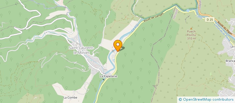 localisation de l'entreprise MADAME ELISA MUHLEN  SAINT-LAURENT-LE-MINIER