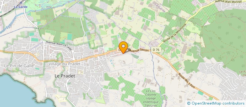 localisation de l'entreprise MADAME ELISA ROS  LE PRADET