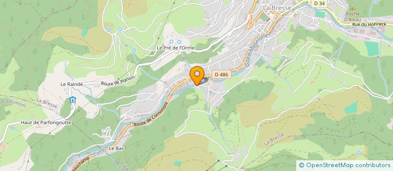 localisation de l'entreprise MADAME ELISA SAINT-DIZIER  LA BRESSE