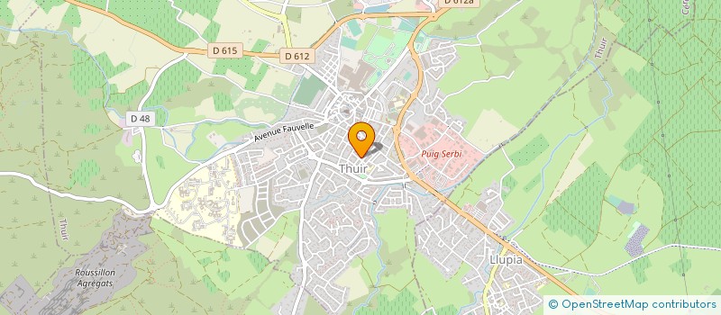 localisation de l'entreprise MADAME ELISA SARAH RAFARALAHY  THUIR