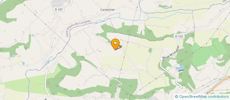 localisation de l'entreprise MADAME ELISA WOLFHAGEN  COLAYRAC-SAINT-CIRQ