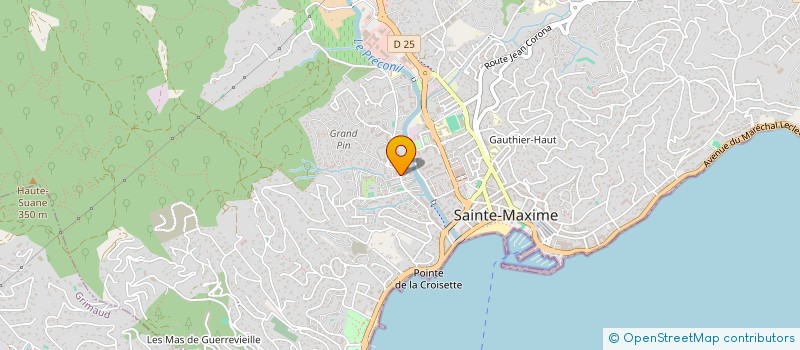 localisation de l'entreprise MADAME ELISABETA MUNTIANU  SAINTE-MAXIME