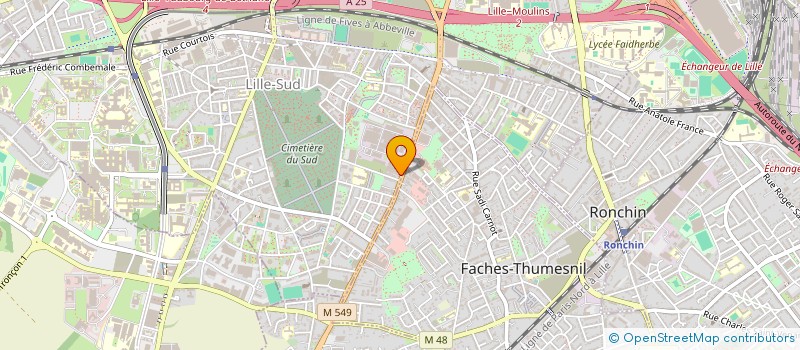 localisation de l'entreprise MADAME ELISABETE DE ALMEIDA MENDES à LILLE