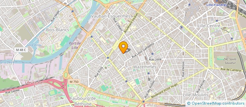 localisation de l'entreprise MADAME ELISABETH BREGNARD à LILLE