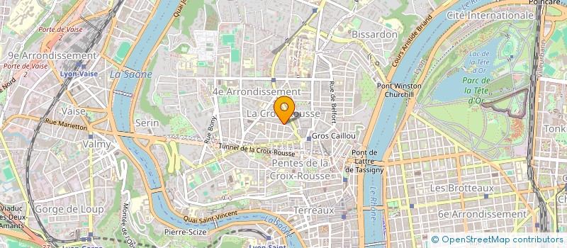 localisation de l'entreprise MADAME ELISABETH COSTET  LYON