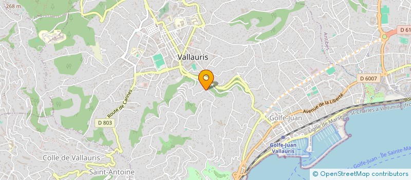 localisation de l'entreprise MADAME ELISABETH COUSIN  VALLAURIS