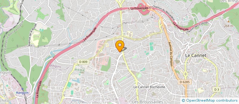 localisation de l'entreprise MADAME ELISABETH COUTSOURAS à LE CANNET