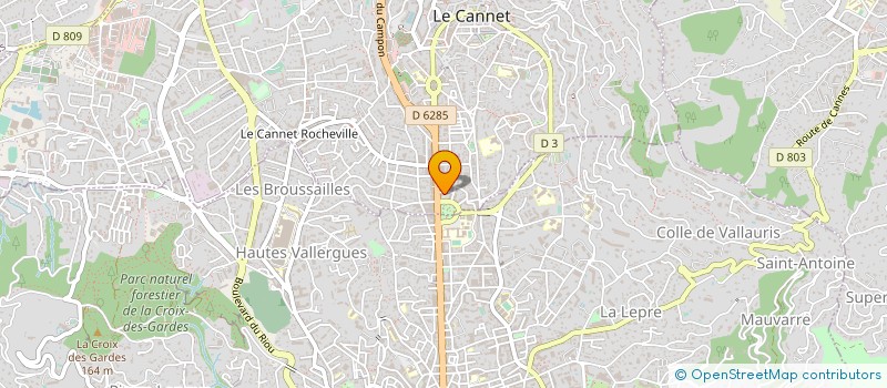 localisation de l'entreprise MADAME ELISABETH DE MAILLARDOZ à LE CANNET