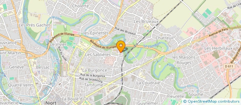 localisation de l'entreprise MADAME ELISABETH DE SOUSA  NIORT