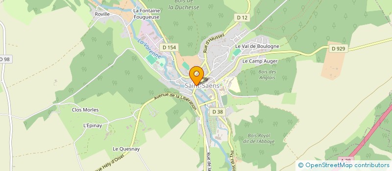 localisation de l'entreprise MADAME ELISABETH DELAPLACE à SAINT-SAENS