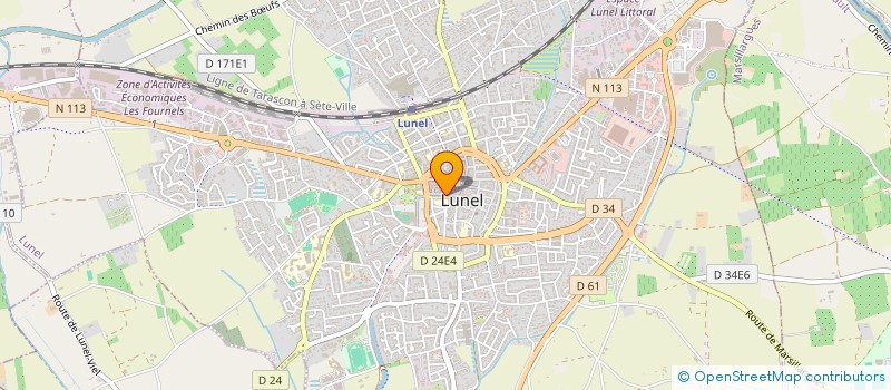 localisation de l'entreprise MADAME ELISABETH FERIN  LUNEL