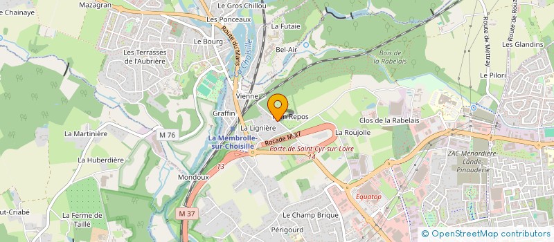 localisation de l'entreprise MADAME ELISABETH FERNEX DE MONGEX  SAINT-CYR-SUR-LOIRE