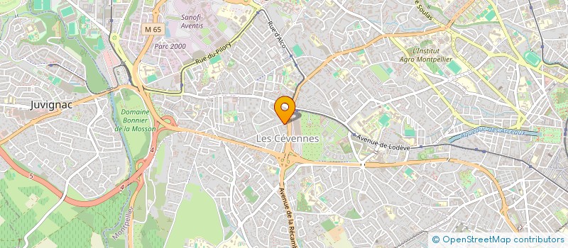 localisation de l'entreprise MADAME ELISABETH FERRAND à MONTPELLIER