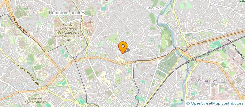 localisation de l'entreprise MADAME ELISABETH FONTENEAU à MONTPELLIER