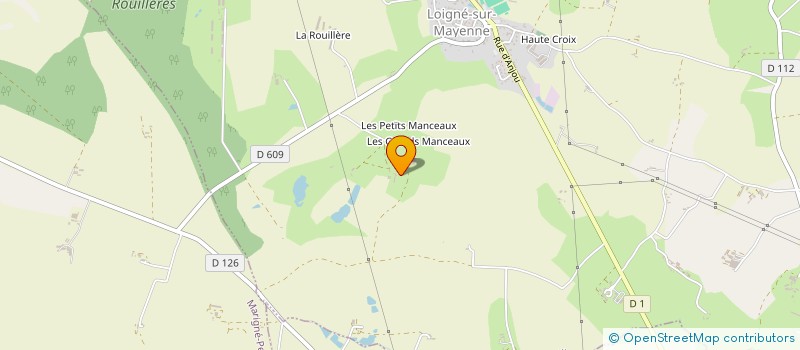 localisation de l'entreprise MADAME ELISABETH GOUABAU  LA ROCHE-NEUVILLE