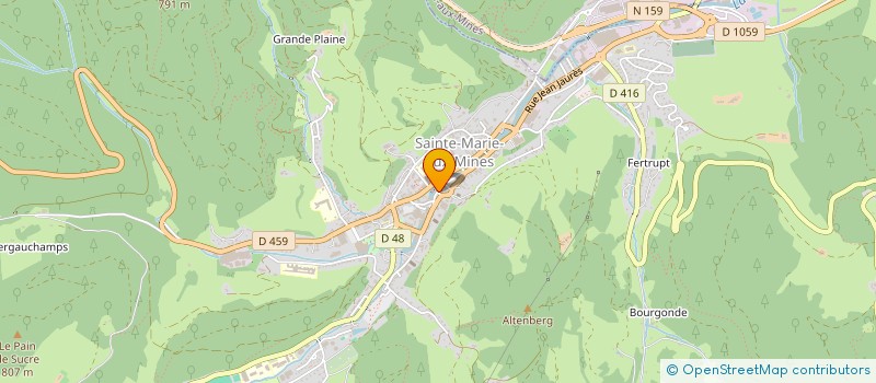 localisation de l'entreprise MADAME ELISABETH HENRY  SAINTE-MARIE-AUX-MINES