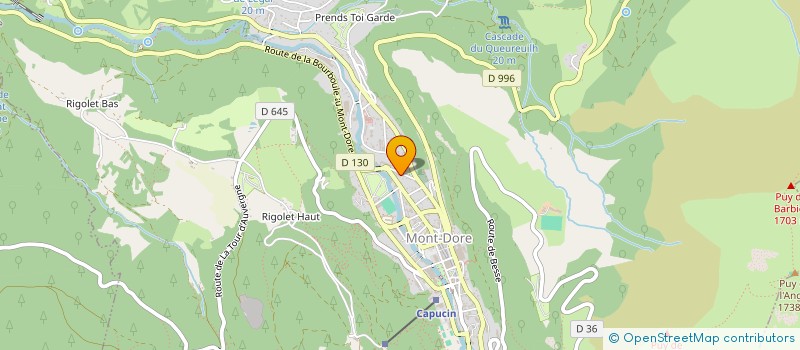 localisation de l'entreprise MADAME ELISABETH LACOMBE  MONT-DORE