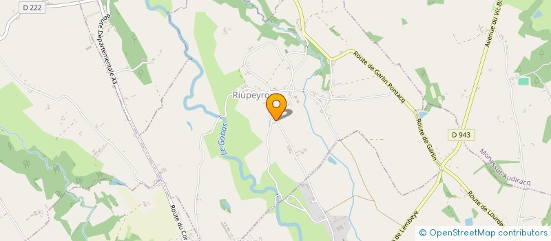 localisation de l'entreprise MADAME ELISABETH LAFARGUE  RIUPEYROUS