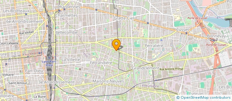 localisation de l'entreprise MADAME ELISABETH LEHMANN  VILLEURBANNE