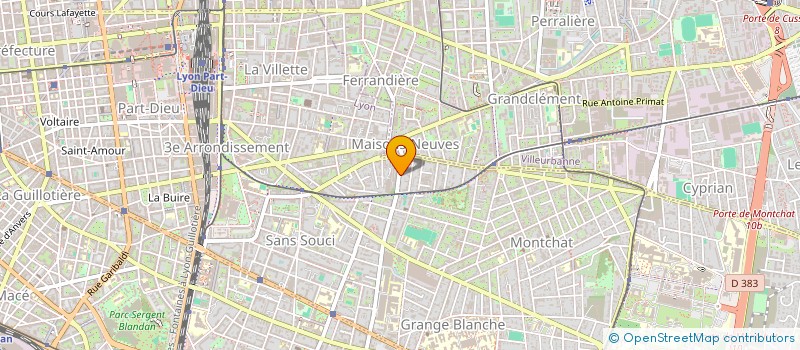 localisation de l'entreprise MADAME ELISABETH LEVET  LYON