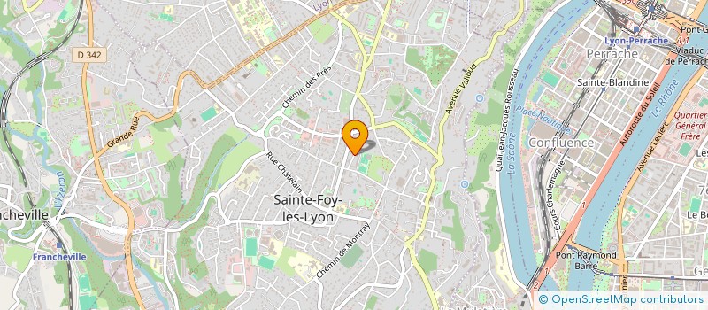 localisation de l'entreprise MADAME ELISABETH MARCENAC à SAINTE-FOY-LES-LYON