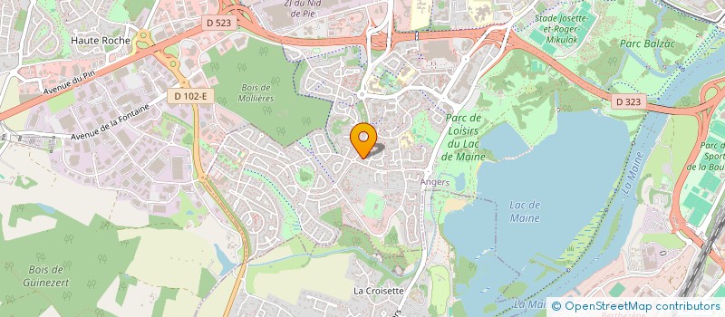 localisation de l'entreprise MADAME ELISABETH MATON  ANGERS