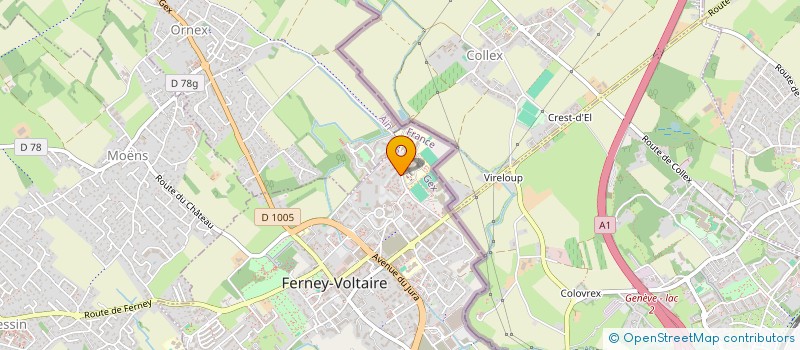 localisation de l'entreprise MADAME ELISABETH MERCURY à FERNEY-VOLTAIRE