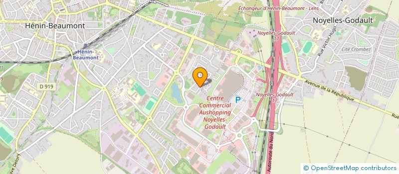 localisation de l'entreprise MADAME ELISABETH NOEL  FACHES-THUMESNIL