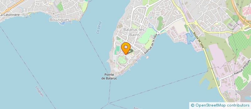 localisation de l'entreprise MADAME ELISABETH OZIOL  BALARUC-LES-BAINS