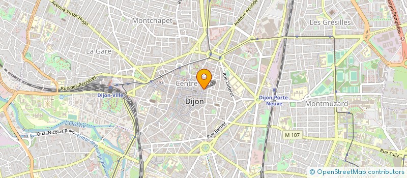 localisation de l'entreprise MADAME ELISABETH POUFFIER à DIJON