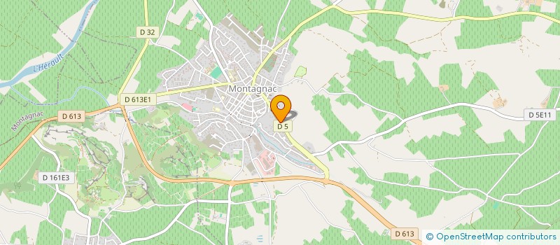 localisation de l'entreprise MADAME ELISABETH RODRIGUEZ  MONTAGNAC