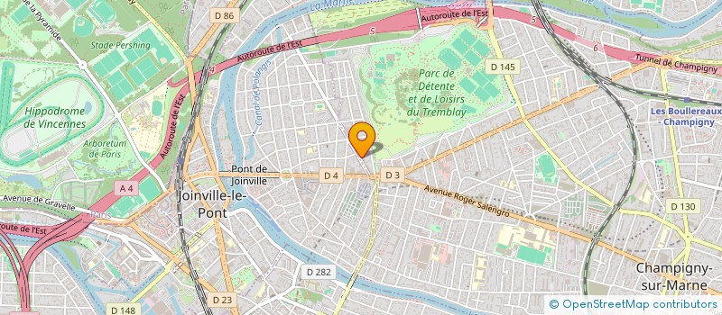 localisation de l'entreprise MADAME ELISABETH RYKNER à CHAMPIGNY-SUR-MARNE