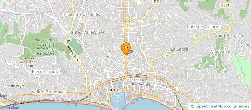 localisation de l'entreprise MADAME ELISABETH SANCHEZ à CANNES