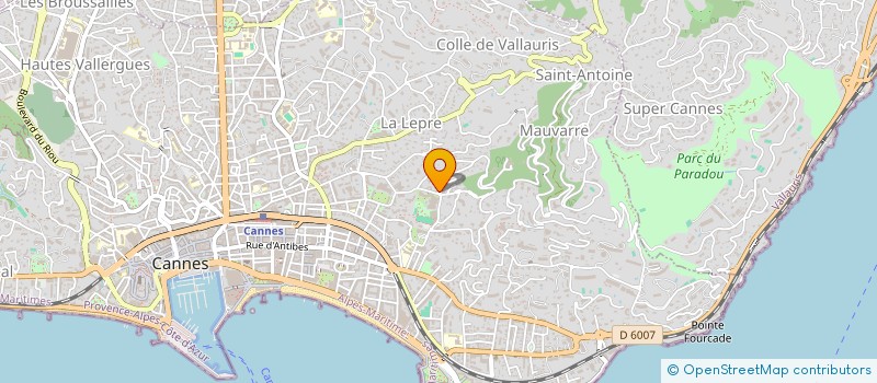 localisation de l'entreprise MADAME ELISABETH SANNIER à CANNES