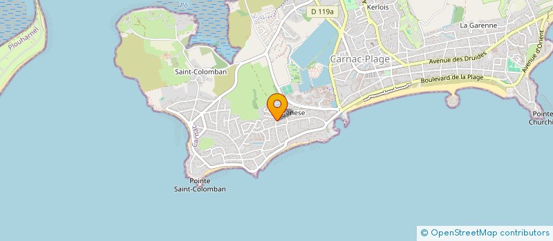 localisation de l'entreprise MADAME ELISABETH SAVIGNAC  CARNAC