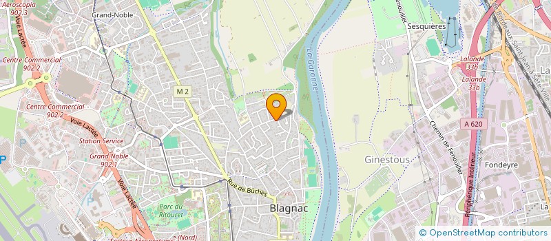 localisation de l'entreprise MADAME ELISABETH SCHAEFERS  BLAGNAC