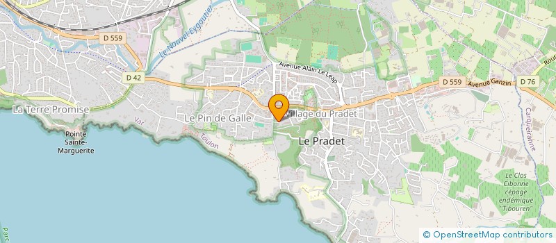 localisation de l'entreprise MADAME ELISABETH SCIERA  LE PRADET