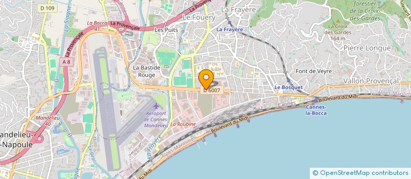 localisation de l'entreprise MADAME ELISABETH THIOT à CANNES